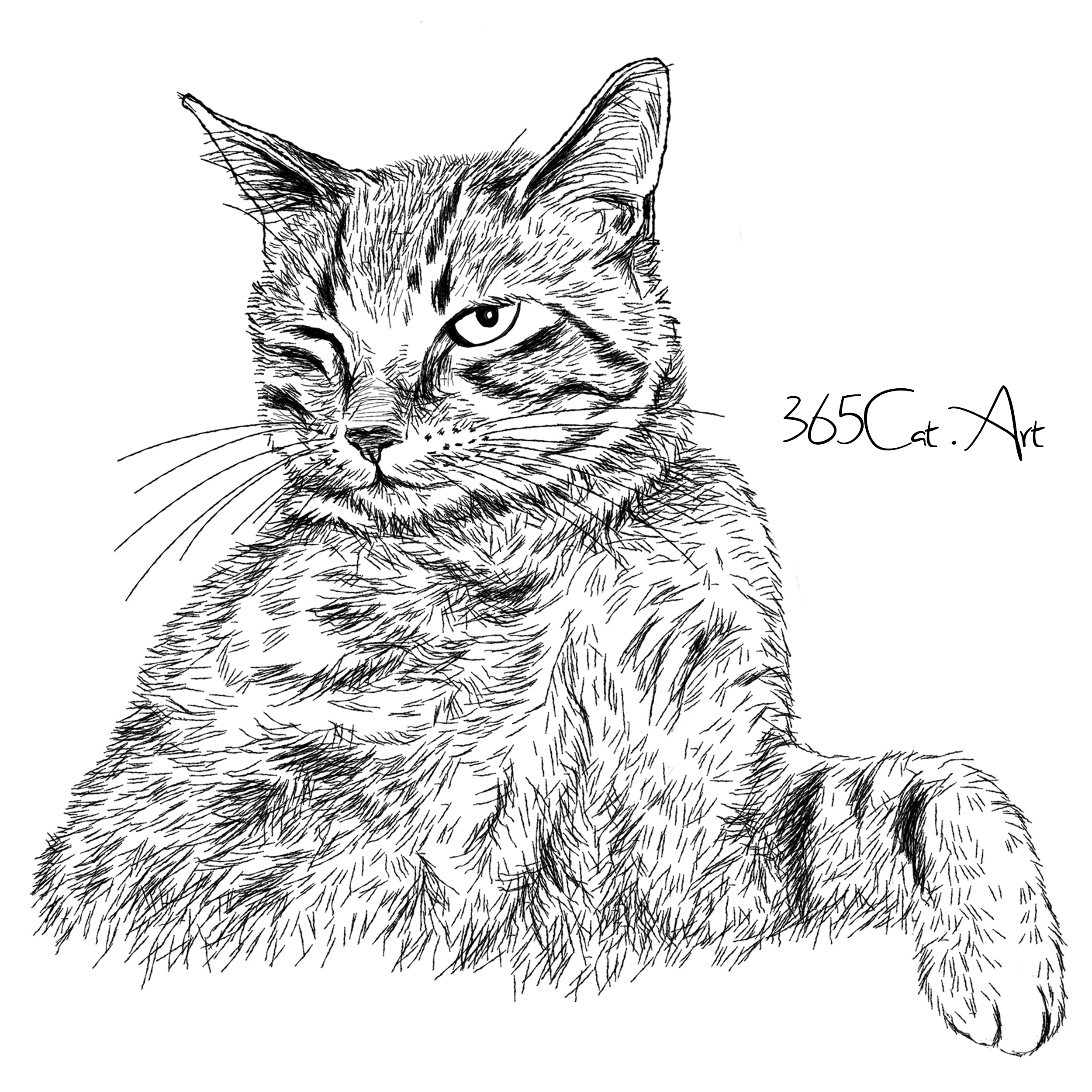 猫の手描きイラスト 似顔絵 白黒 作成 上半身 動物 人間可 猫雑貨 グッズ通販 猫や動物イラスト 似顔絵作成 365cat Art