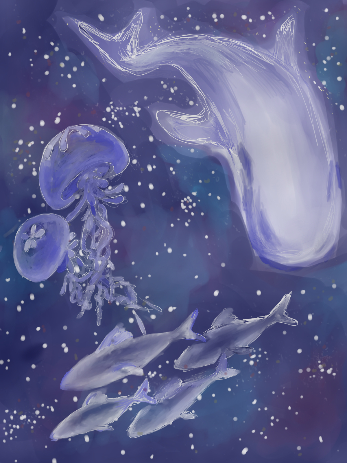 星空の水族館 ポストカード イラスト紙物 くりみ屋