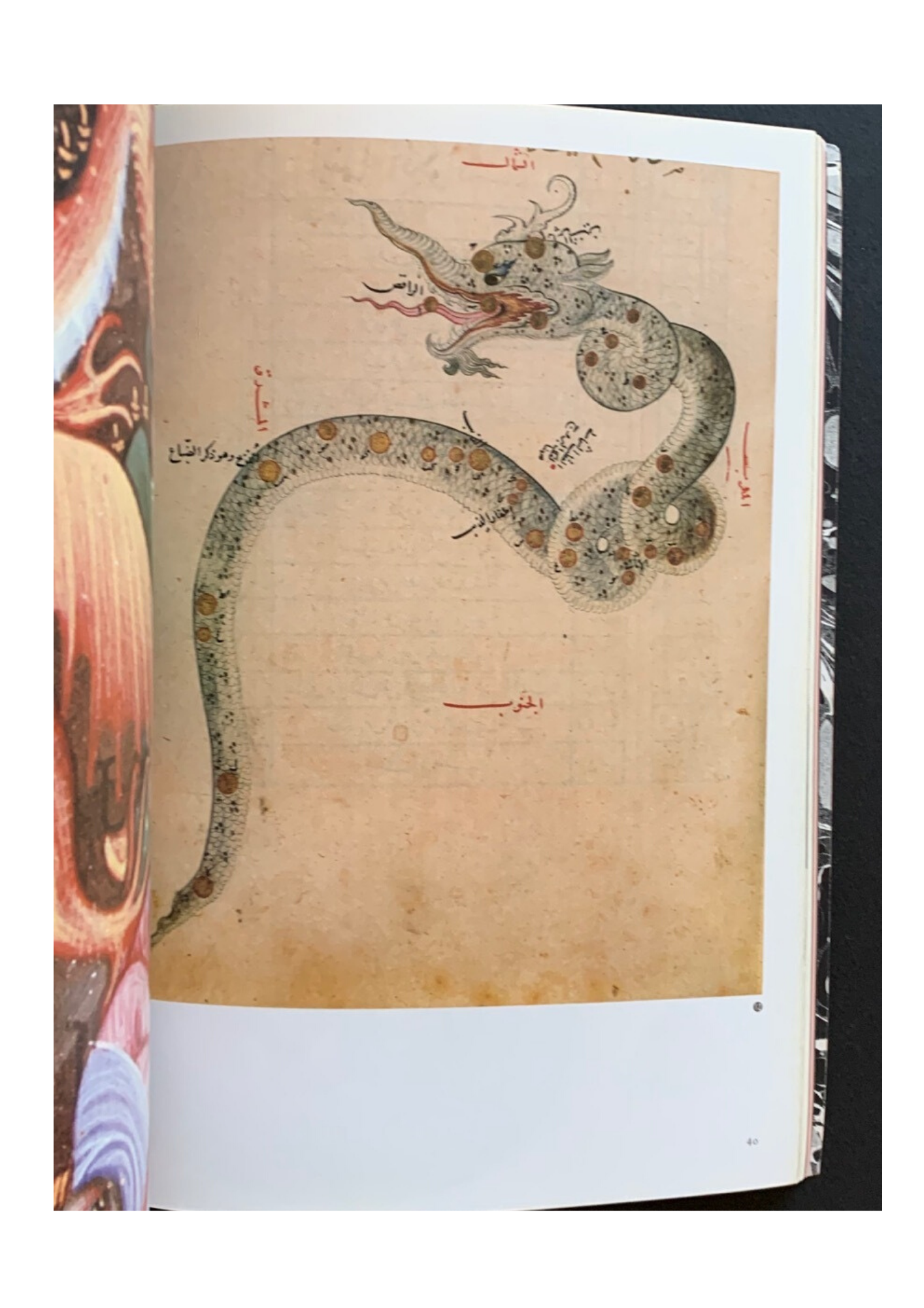 イメージの博物誌 １３ 龍とドラゴン 幻獣の図像学 とらんぷ堂書店