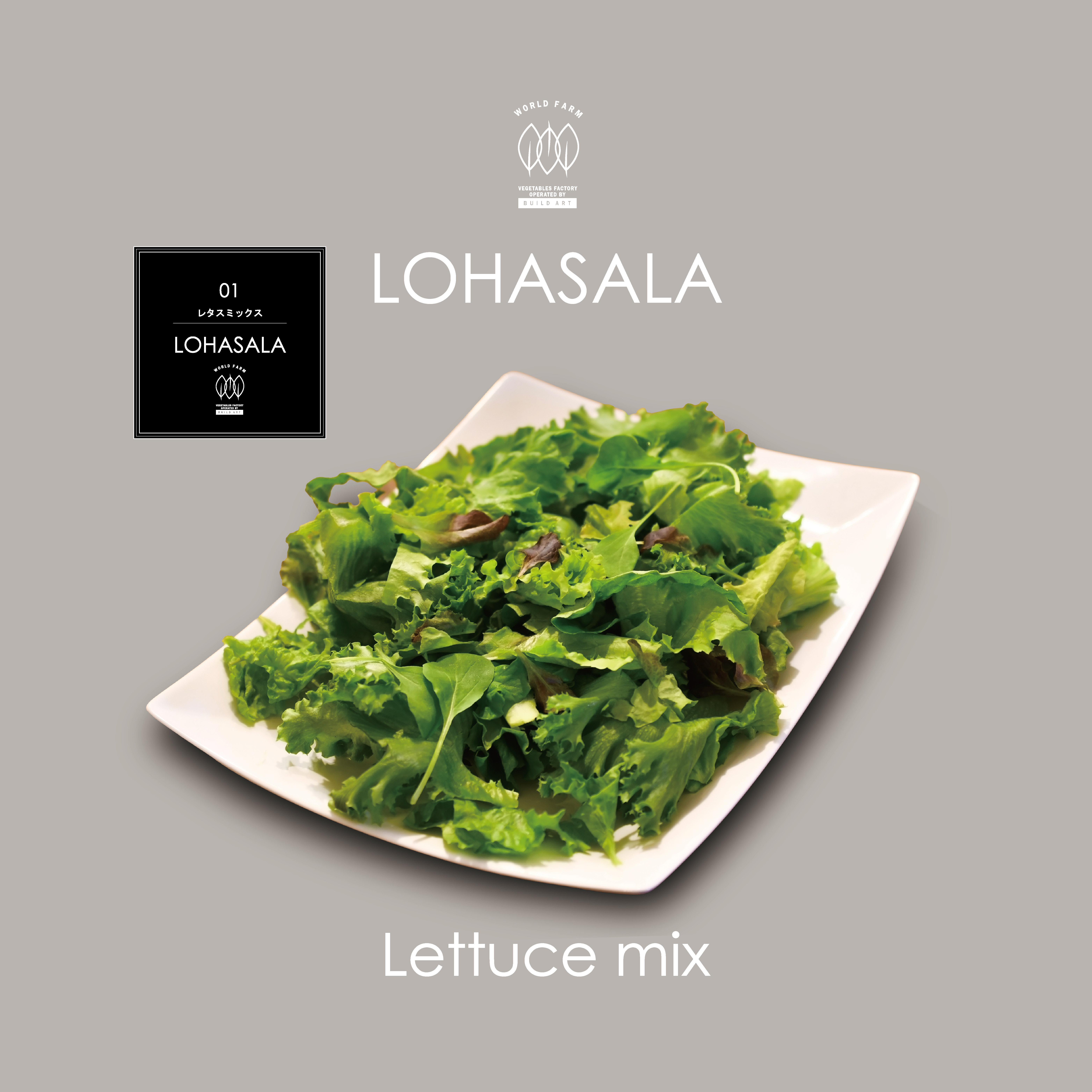 Lohasala レタスミックス小分け 10個 100g 無洗led栽培野菜 農薬不使用工場栽培野菜 Lohasala ロハサラ