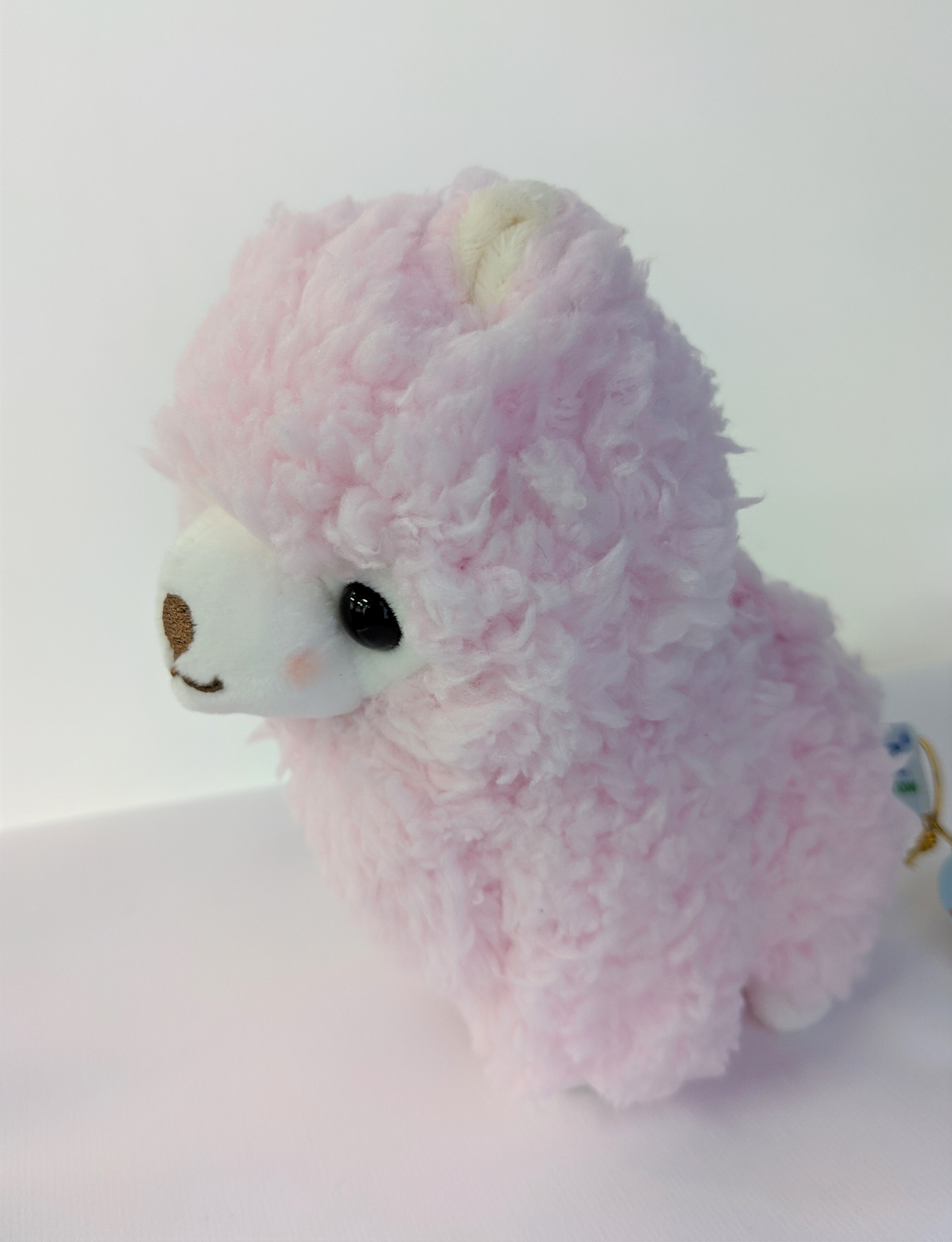 ゆるキャラ アルパカぬいぐるみ Alpaca House