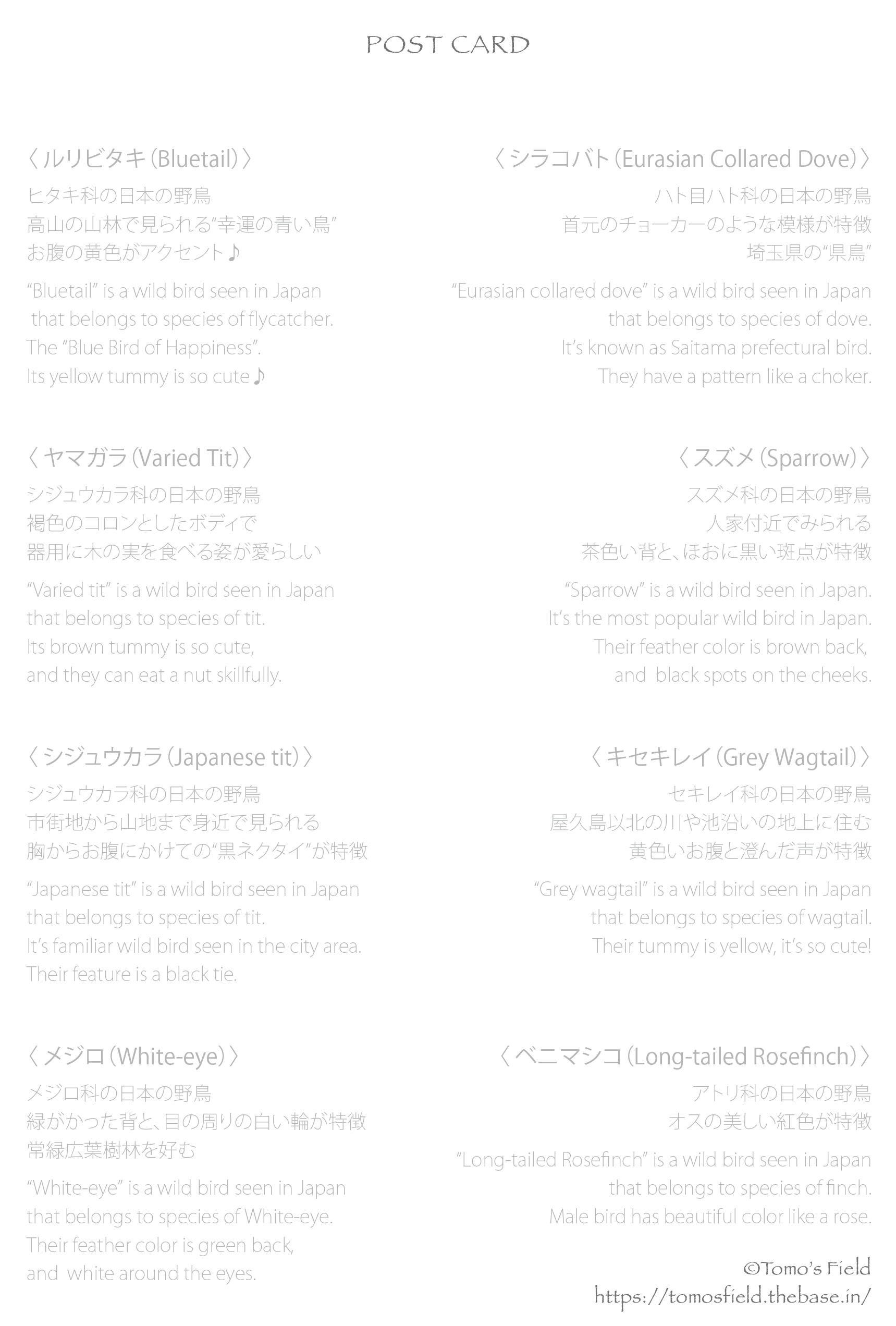 ポストカード 日本の野鳥イラスト 山野の小鳥 3枚セット なごみの小鳥