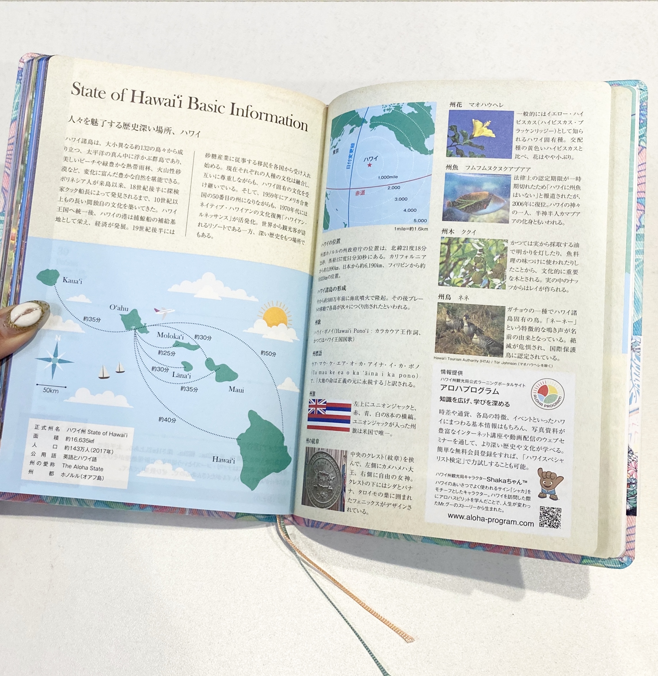 ハワイ手帳21ファブリック Rainbow State