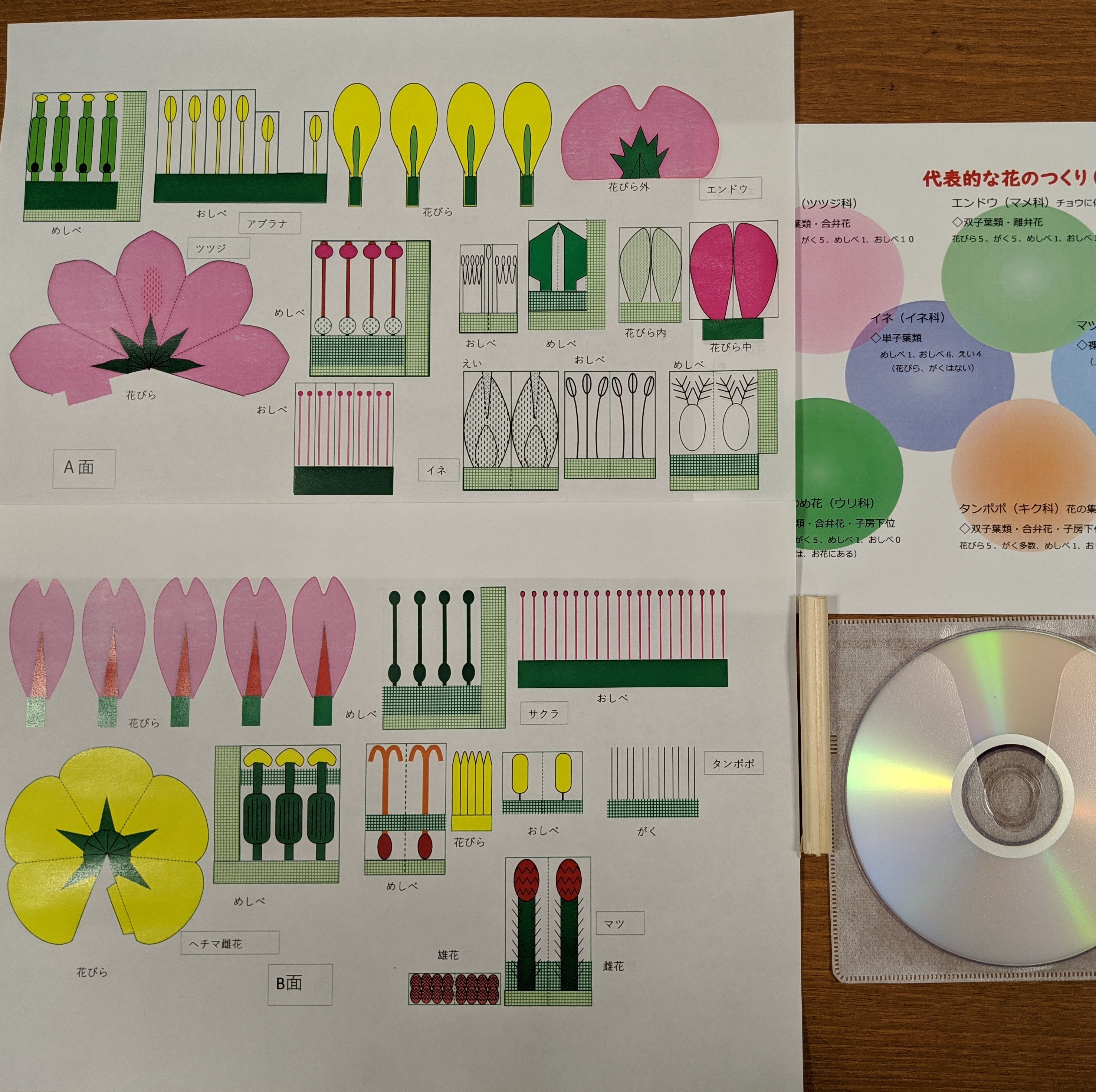 花のつくりペーパークラフト 親子セット Benkyou110