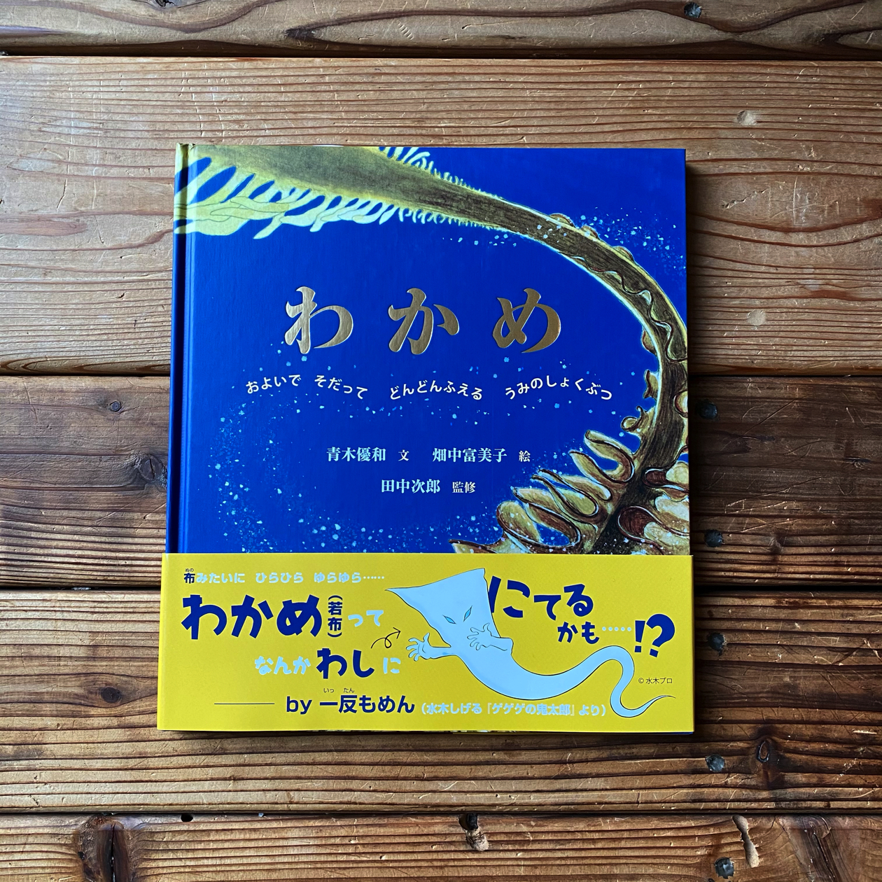 わかめ およいで そだって どんどんふえる うみのしょくぶつ 青木 優和 畑中 富美子 田中 次郎 監修 尾鷲市九鬼町 漁村の本屋 トンガ坂文庫