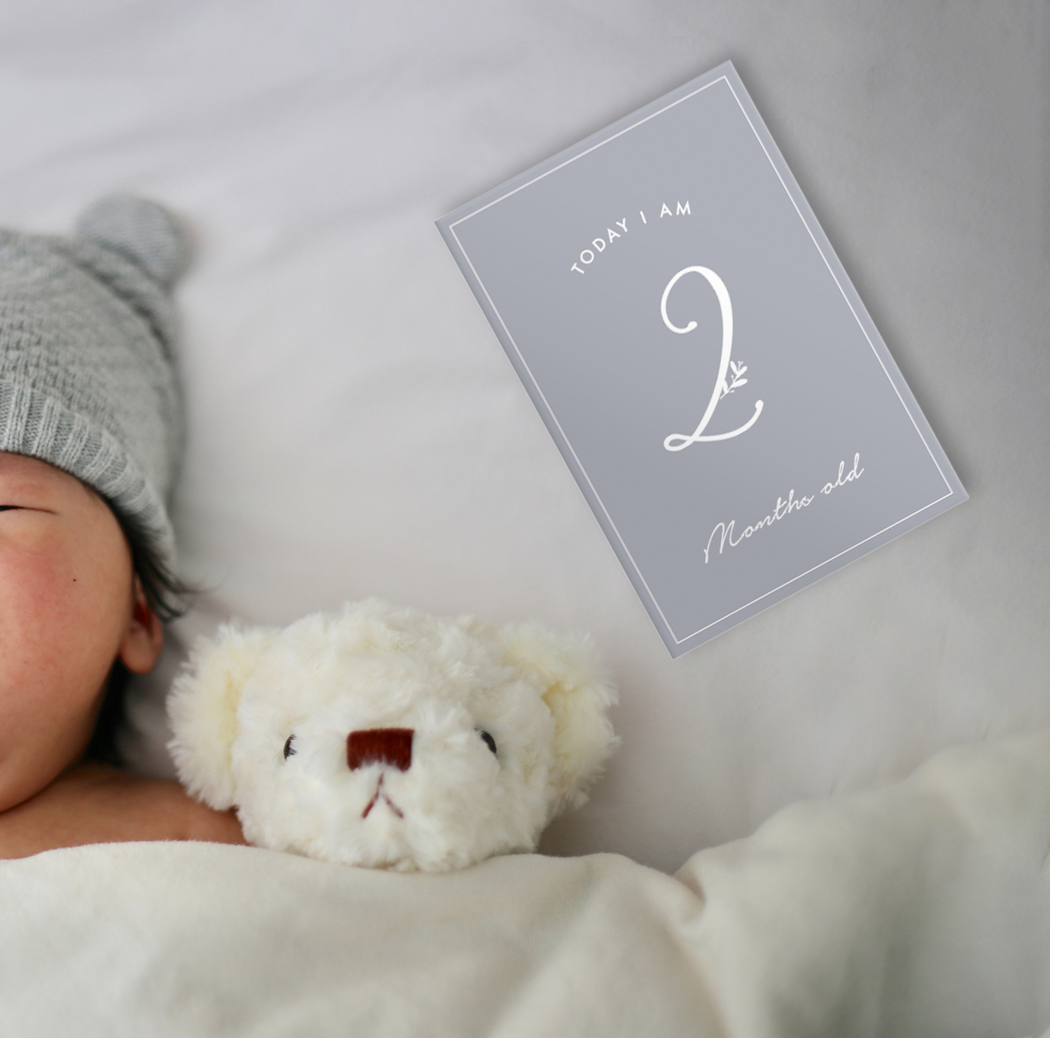 Natural Leaf 月齢カード Dl002 ダウンロード ポスター屋さんismirai Home 北欧ポスターとインテリア雑貨のお店