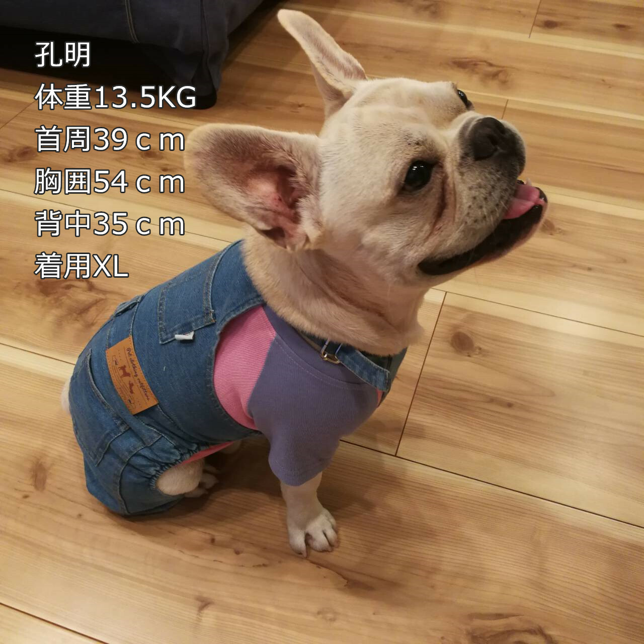 Km002sフレンチブルドック サロペット 犬服 ドックウェア ジーンズ風 フレブル服犬ペット用 Dearkm フレンチブルドック孔明