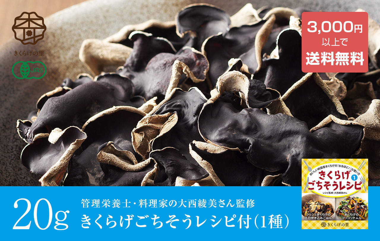 瀬戸内ごちそうきくらげ ホール g 山口県 柳井産 乾燥有機きくらげ 有機jas認定 無農薬栽培 種菌から菌床 栽培 加工まで全て純国産 自社栽培 自社加工 肉厚 プリプリ食感 きくらげの里 国産きくらげの通販