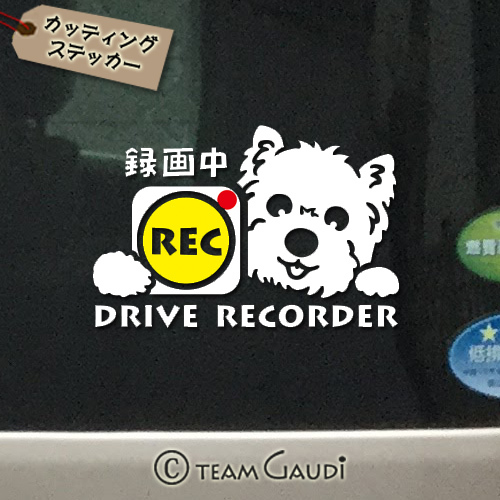 ドラレコ ステッカー ウエスティ デザインa ステッカー ウエストハイランドホワイトテリア 犬 ミックス犬 ドライブレコーダー録画中 煽り運転防止 シール 工房 Team Gaudi