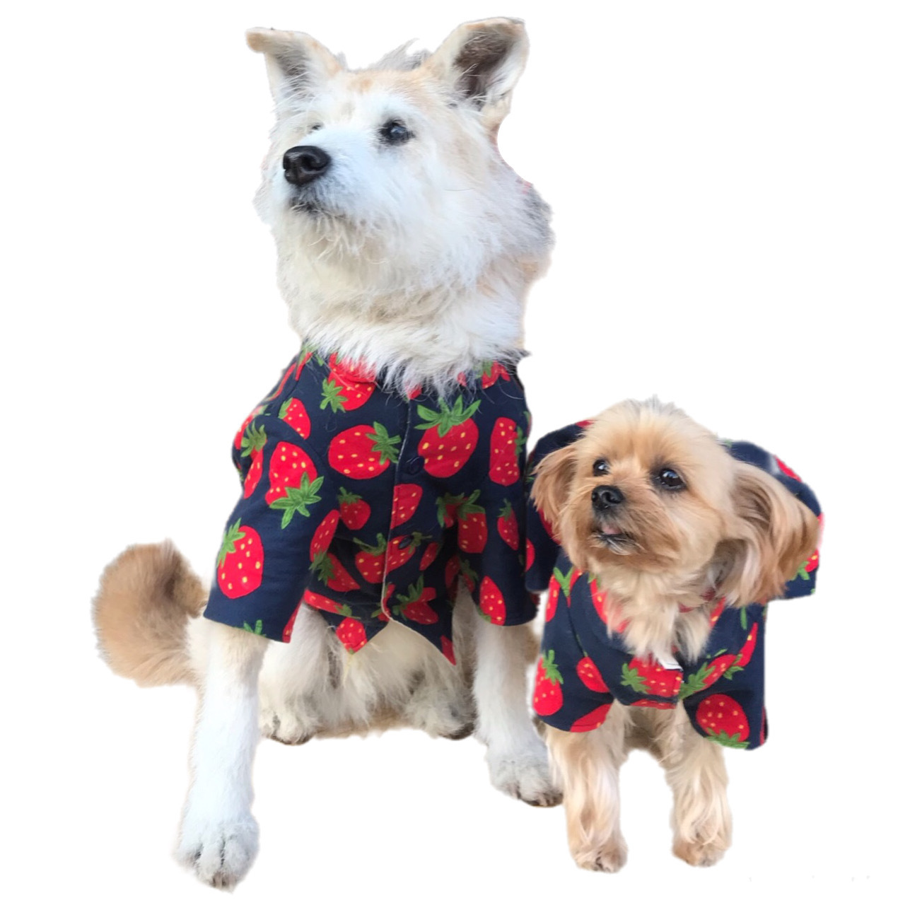 犬服 7号 中型犬 ネル シャツ いちご Tony Dog Zakka ハンドメイド犬服と雑貨のお店 犬服 7号 中型犬 ネル シャツ いちご Tony Dog Zakka ハンドメイド犬服と雑貨のお店