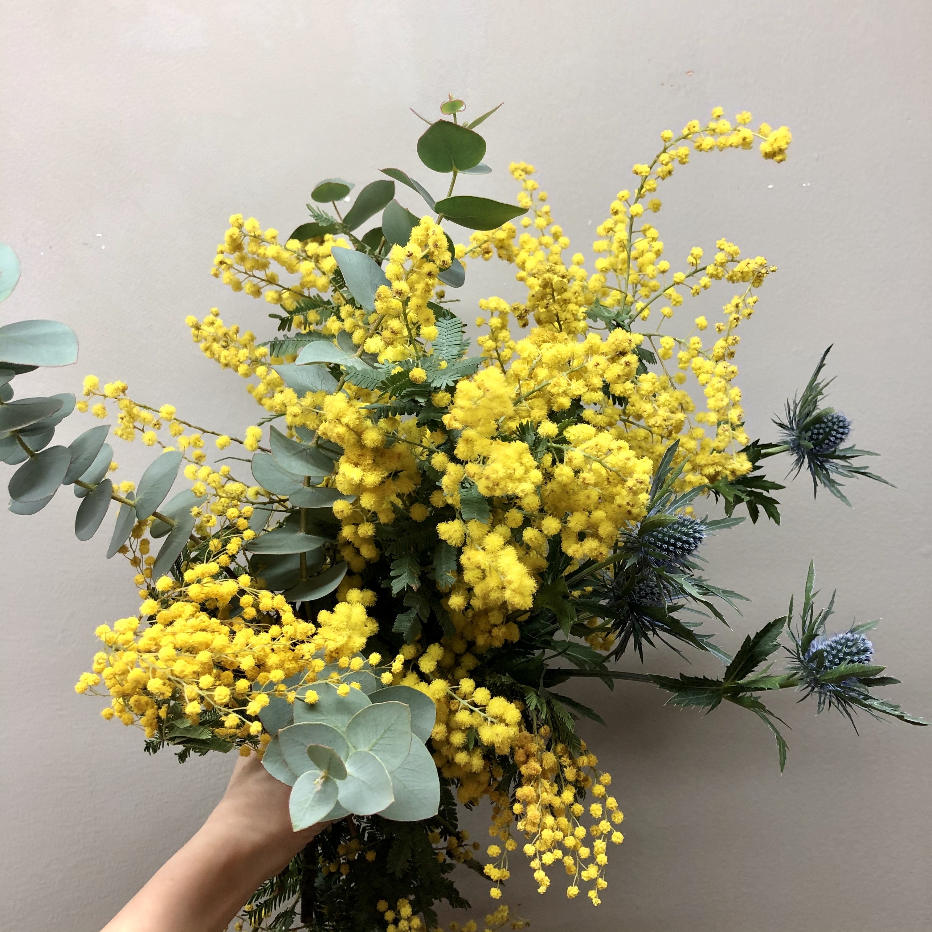 Mimosa Bouquet 季節限定 ハルカゼフラワー