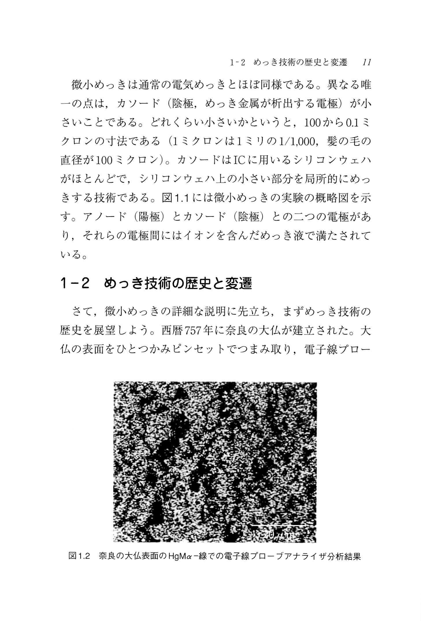 初歩から学ぶ 微小めっき技術 多彩な応用分野を開拓 Pdf Gb E Shop