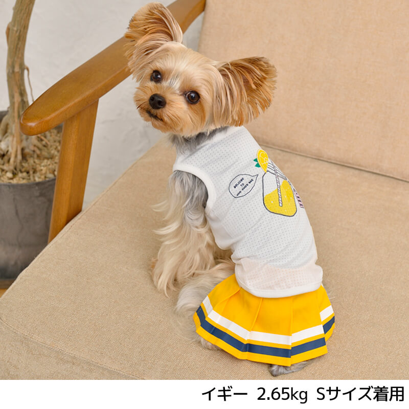 レモンメッシュタンク Xs S Tinotito ティノティート 犬服 ドッグウェア トイプードル チワワ ポメラニアン Tt21ss Tt 1 Wan Voyage ワンボヤージュ お洒落なドッグウェア 犬服のお店