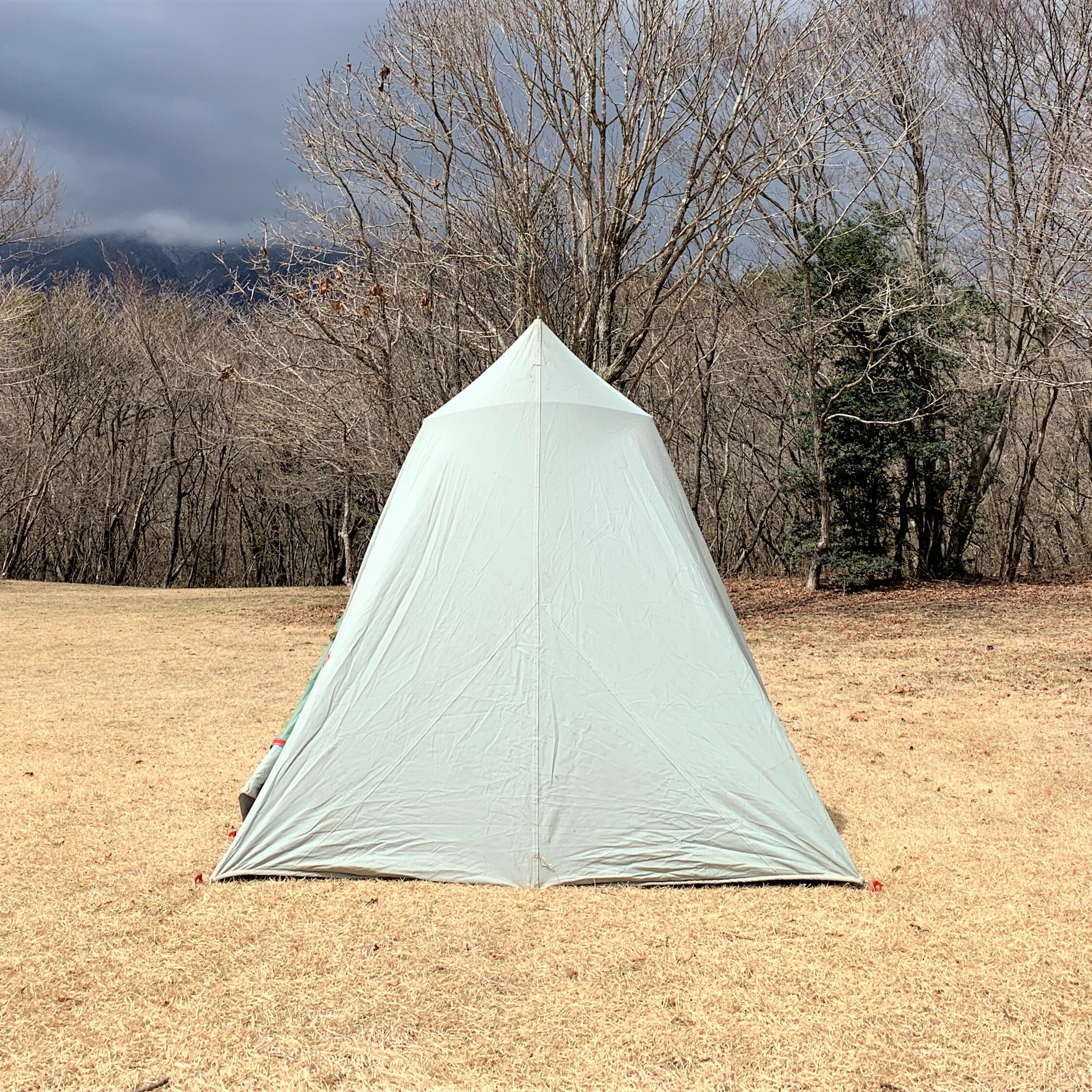 コールマン スプリングバーテント SPRINGBAR TENT 8x6.6 