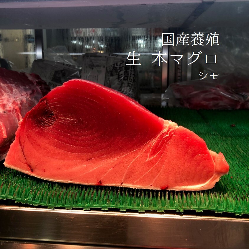 国産本マグロ 生 シモ 1 1 5kg 養殖本マグロ 本マグロ下ｘ１ 冷蔵 本鮪 クロマグロ Okawari 豊洲直送の高級海産物をお届け