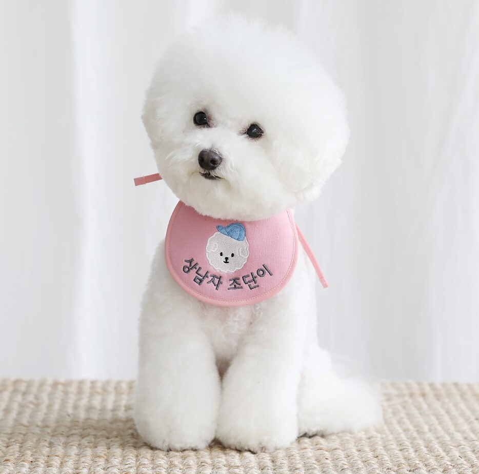 予約 カスタムケープ ピンク Luana Dog