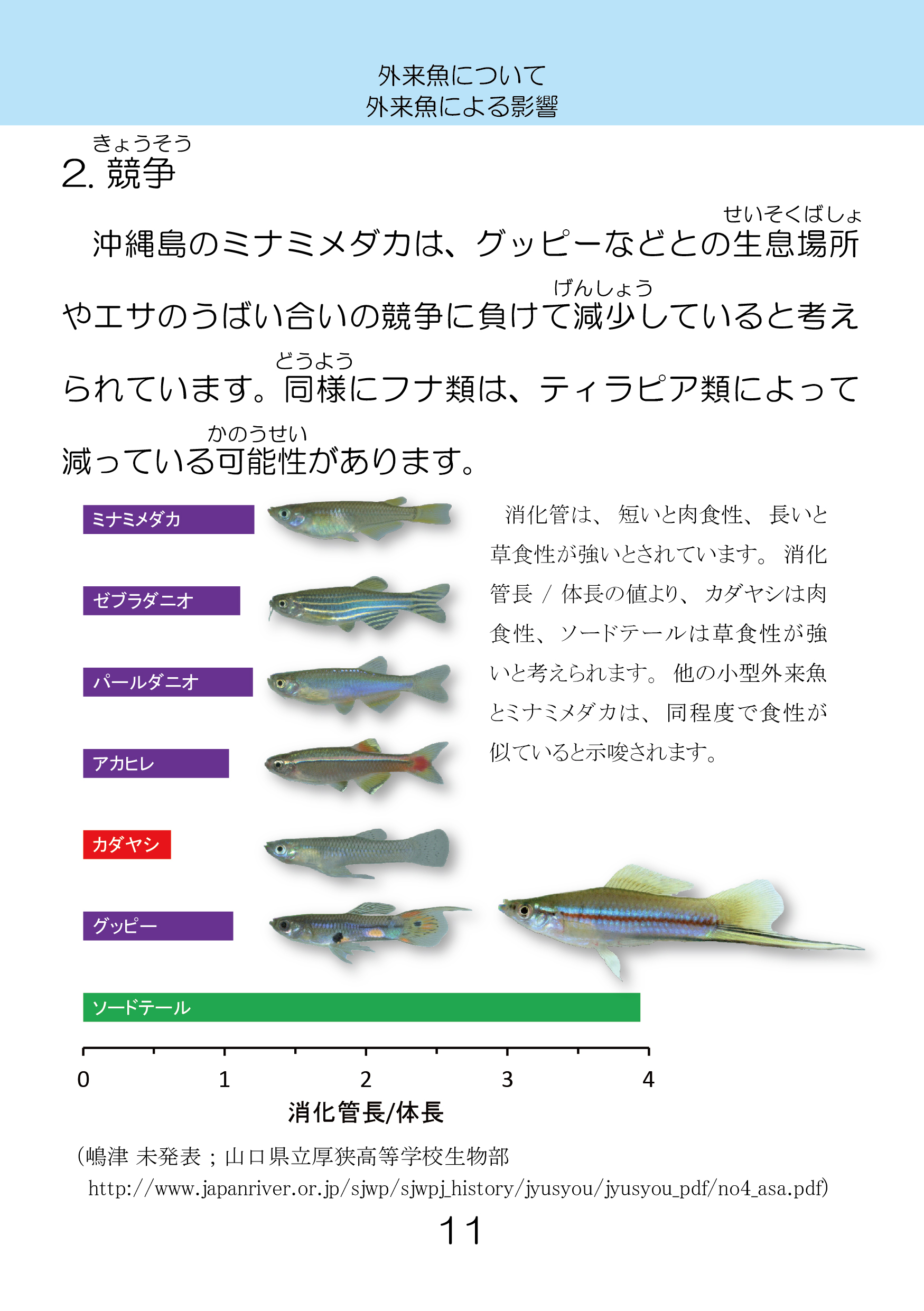 新版紙書籍 沖縄島の外来魚ガイド第三版 しまづ外来魚研究所オンラインショップ