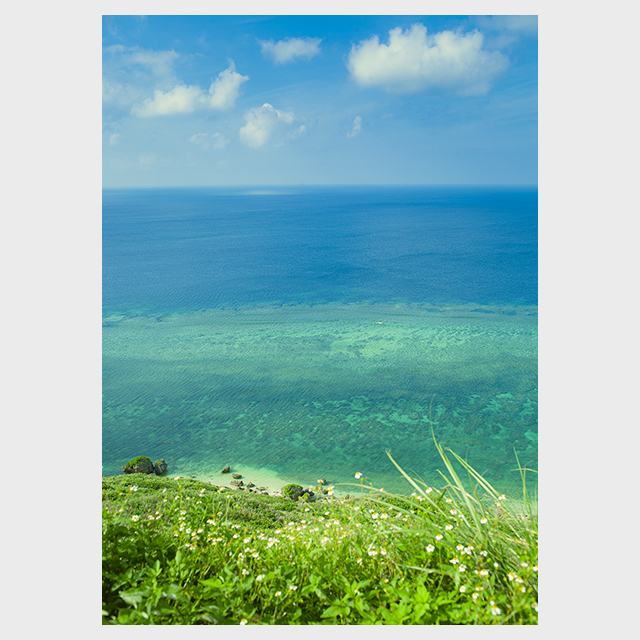A Calm No 2 19 南国の海のおおらかさに癒される Art Poster Ulmus