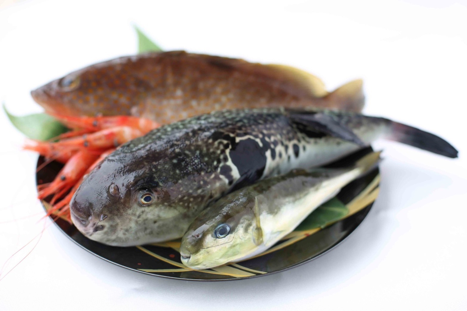 業務用鮮魚セット おまかせ 鮮魚 小パック 橋爪商店