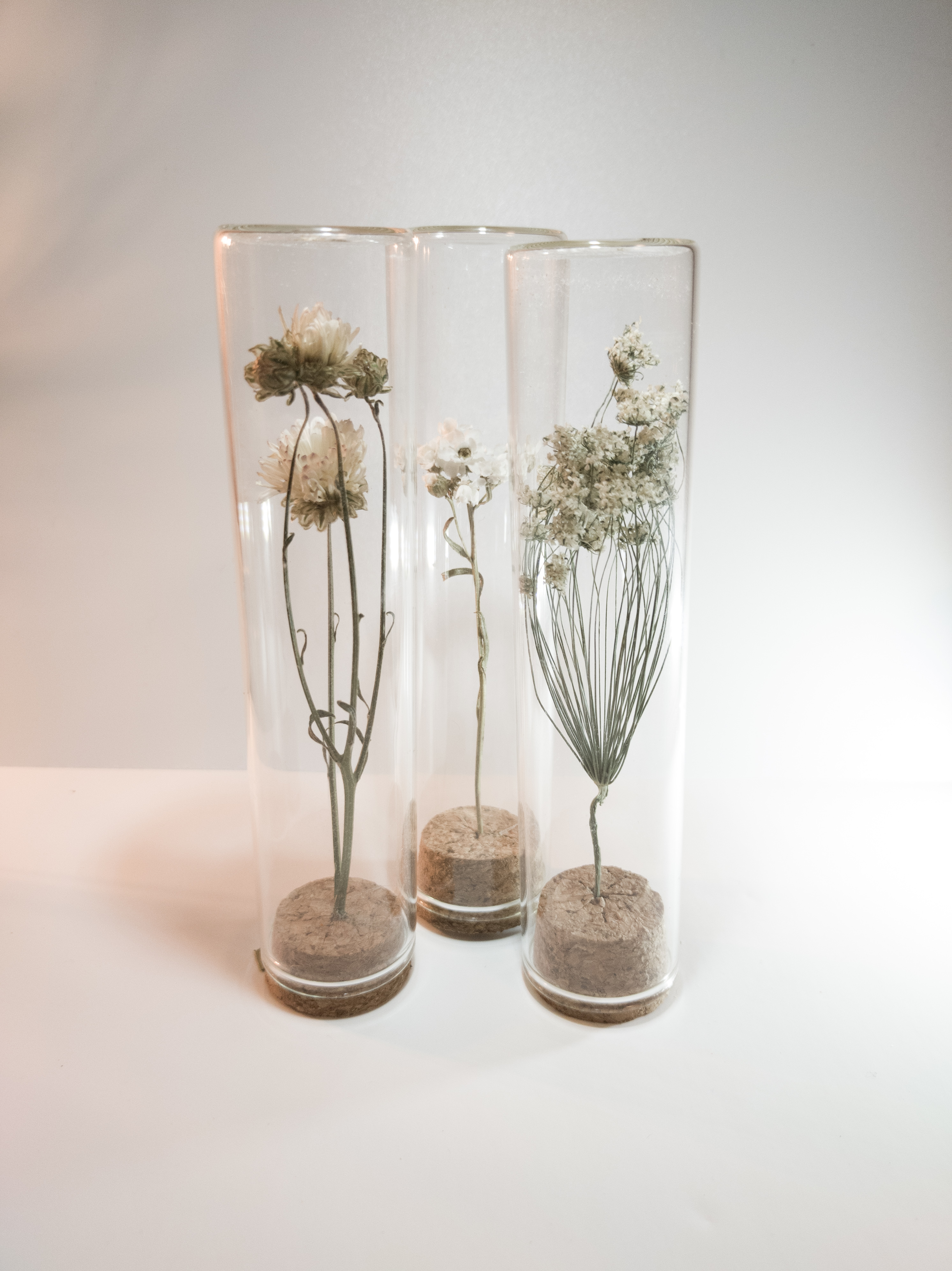 ドライフラワー試験管グラス3本セット Dry Flower In Test Tube Set Merry Go Round