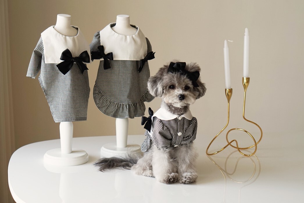 即納 セーラードロシーワンピース ブラック Mサイズ Luana Dog