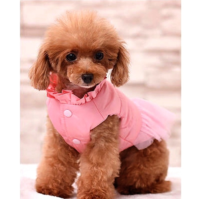 犬服 猫服 ペット服 ダウンベスト チュール サーモンピンク色 Xs Ronkichimaru ロンキチマル かわいい犬服 猫服 ペット服