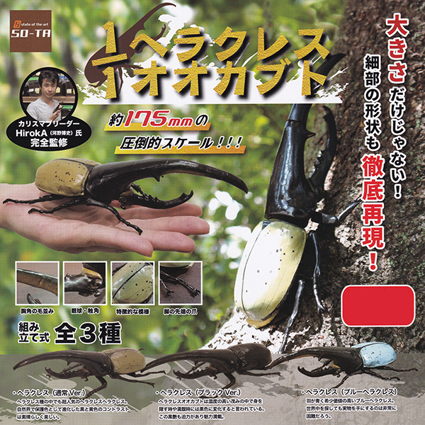 1 1 ヘラクレスオオカブト カブトムシ 昆虫 動物 グッズ フィギュア Hiroka 河野博史 氏 模型 ガチャ So Ta 全3種フルコンプセット ｄｐ台紙おまけ付き お宝市場ｂａｓｅ店 フィギュア ガチャガチャ ガチャポン 食玩 プライズ アニメ グッズ 模型