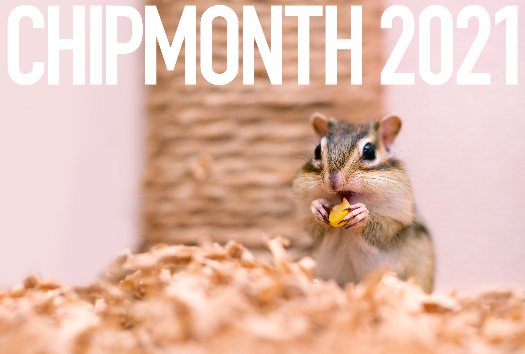 21年シマリスカレンダー Chipmonth 21 Ca Cm 21a 5 Lines Shop シマリス好きのためのシマリストア