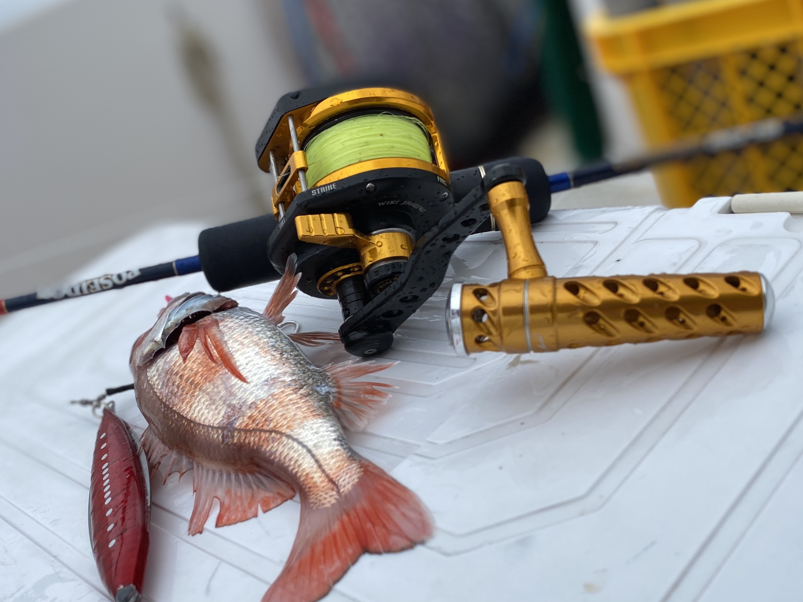 P J Ride 180g Reals ジグ 近海 中深海 遠征 スロージギング専用 Red Fish Blue Fish 手巻き深海 専門店