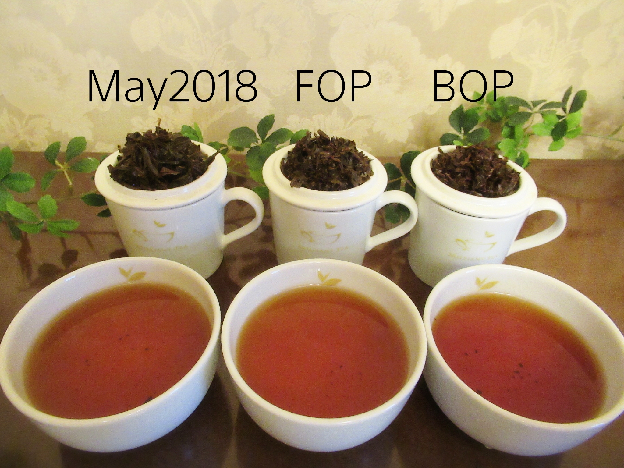 ロシア国産紅茶〈マツェスタ茶園〉BOPリーフ50g入 BRILLIANT TEA ブリリアントティー