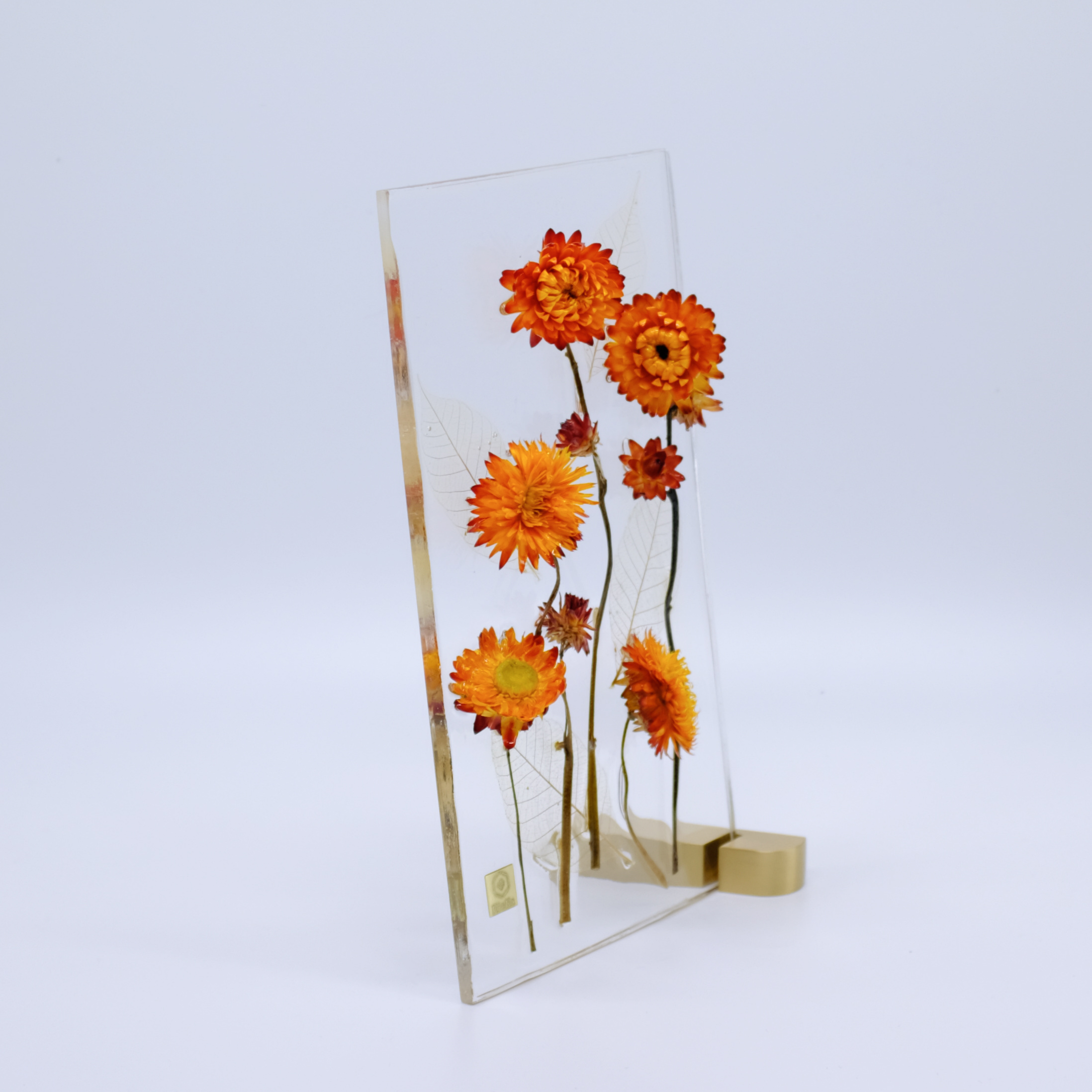 Dried Flower M ヘリクリサム オレンジ Kieka