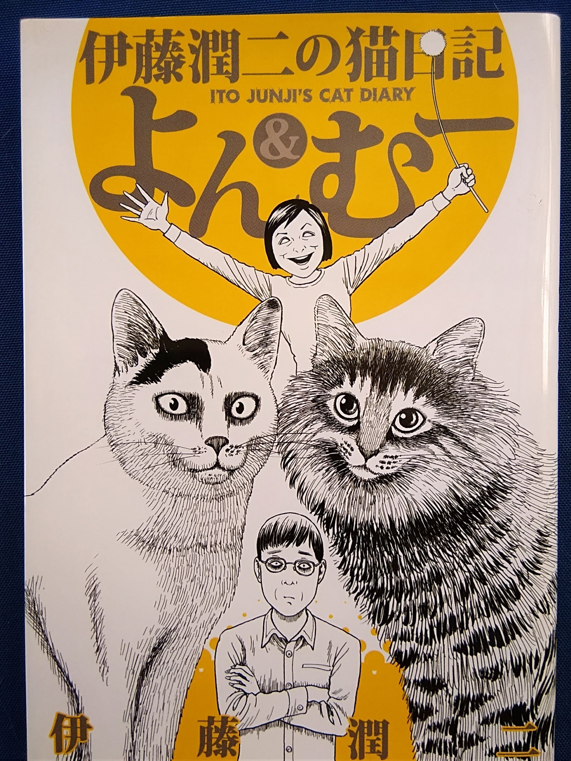 よん むー ー伊藤潤二の猫日記ー 講談社 伊藤潤二 著 自由地図ブックス