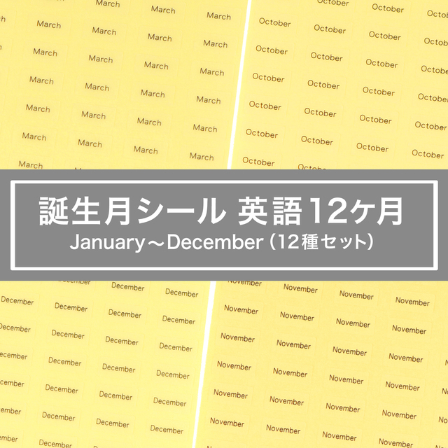台紙用シール 誕生月12ヶ月セット 英語10 5mm 600枚 クリア だいし屋