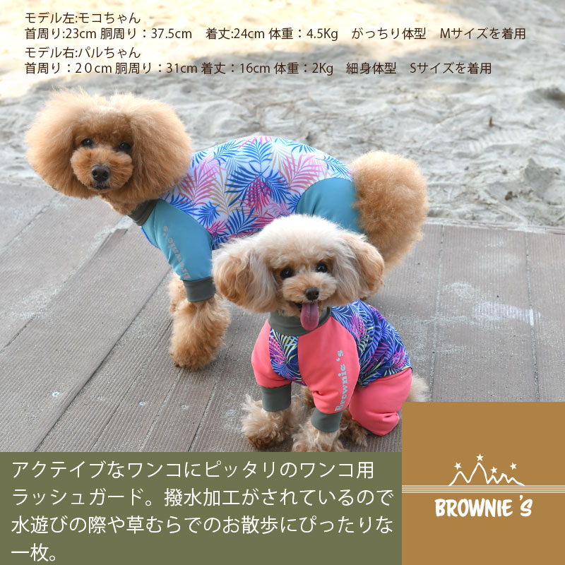 アクティブロンパース ラッシュガード 犬服 ドッグウェア S M L Xl Xxl ワンボヤージュ ブラウニーズ トイプードル チワワ ダックス 雨の日 Br 1 Wan Voyage ワンボヤージュ お洒落なドッグウェア 犬服のお店