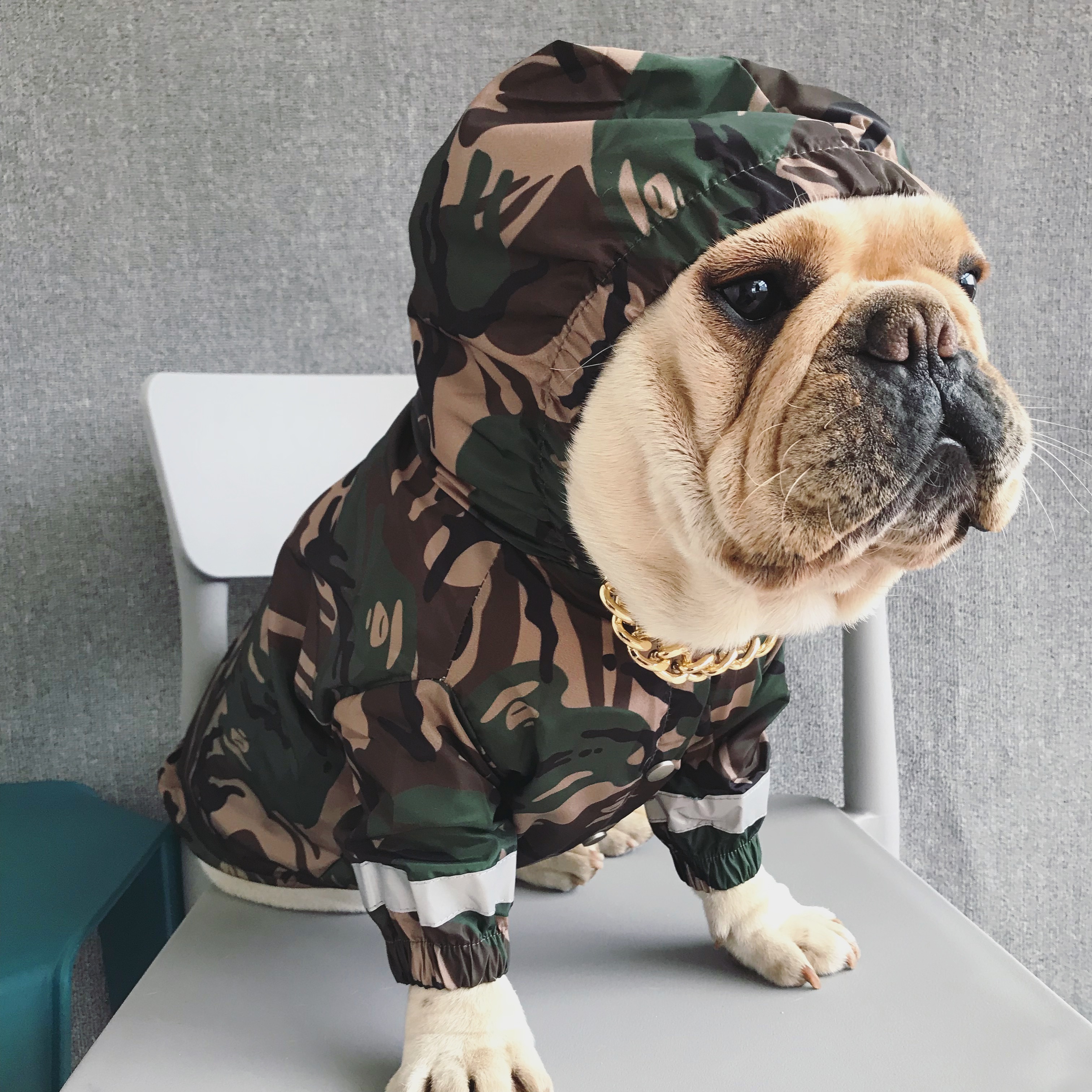 Km030jkフレブル レインコート 防水 迷彩柄 フレンチブルドック 犬服 ドックウェア Dearkm フレンチブルドック孔明