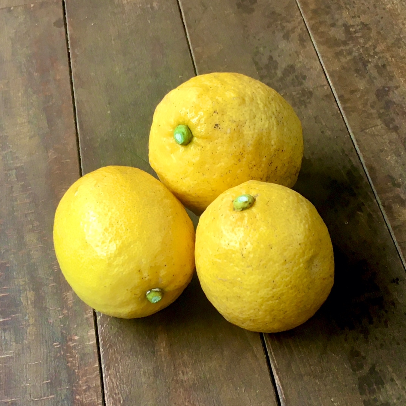 満月のレモン 4月27日収穫 2キロ れもんの村