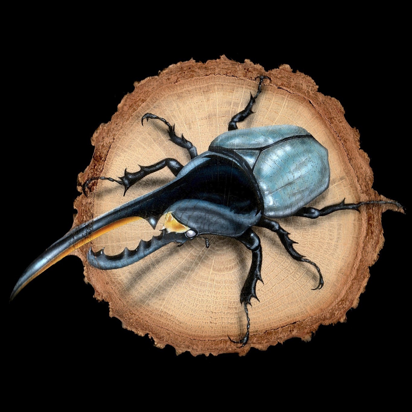 原画 輪切り絵アート ヘラクレスオオカブト Ver1 2 Dynastes Hercules ｊギャラプラス