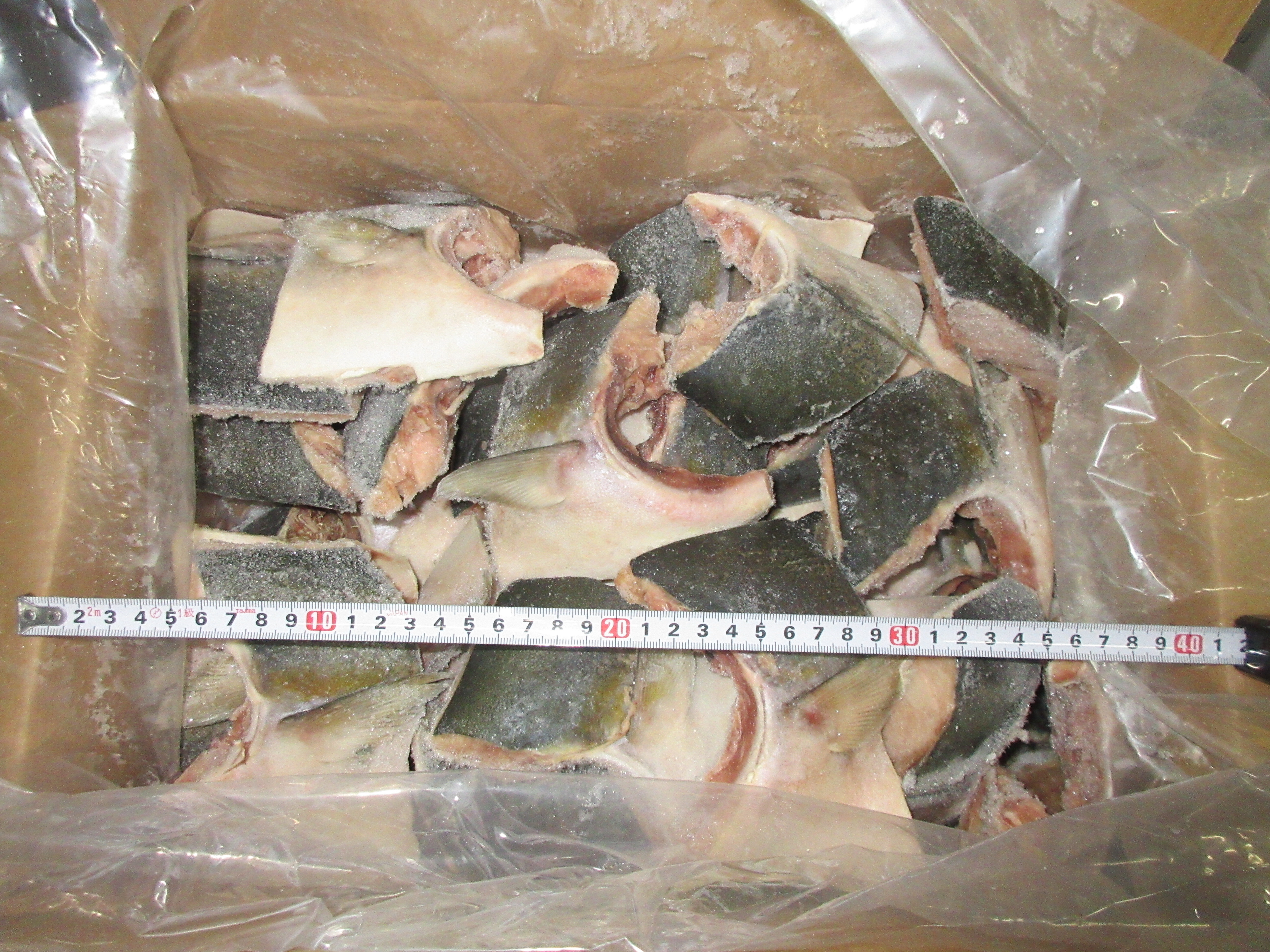 賞味期限切れ ブリカマ３０切れ入り 照千水産