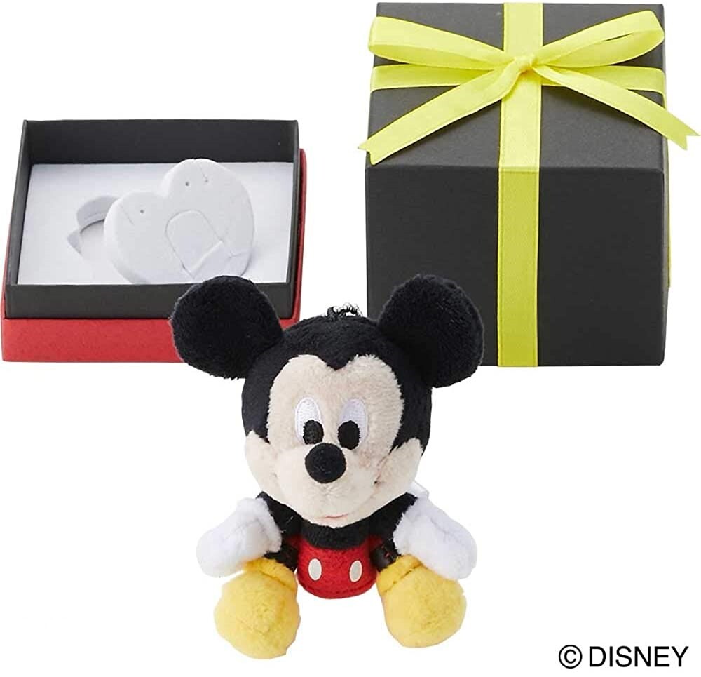 ディズニー ミッキーマウス ジュエリーボックス アクセサリーボックス 誕生日 クリスマス ギフト プレゼント ボックス Di Mk N Box 001 Packagebox