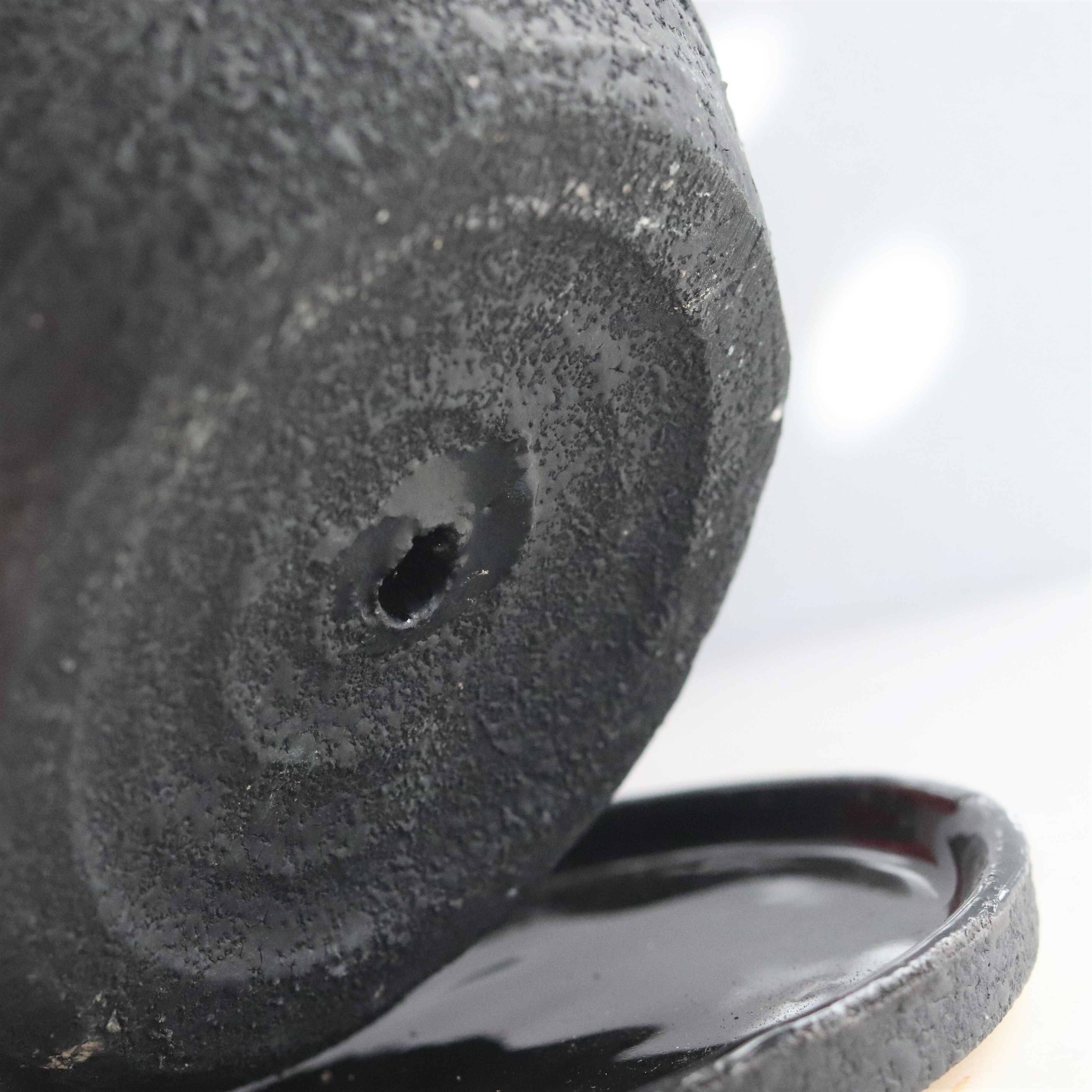 グリーン ポインセチア ジーフラットインテリアショップ