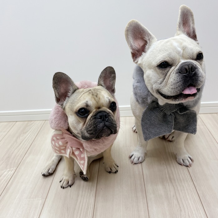 Km599gフレンチブルドッグ マフラー ネックウォーマー 服 犬 猫 もこもこ スヌード マフラー 暖かいドッグウェア 秋 冬 ペット用品 防寒 ボア おしゃれ フレブル 寒さ対策 ふんわり暖かファーマフラー Dearkm フレンチブルドック孔明