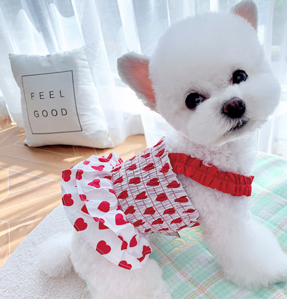 人気急上昇 ハートワンピース 赤色専用ページ 犬 服 Candydogg