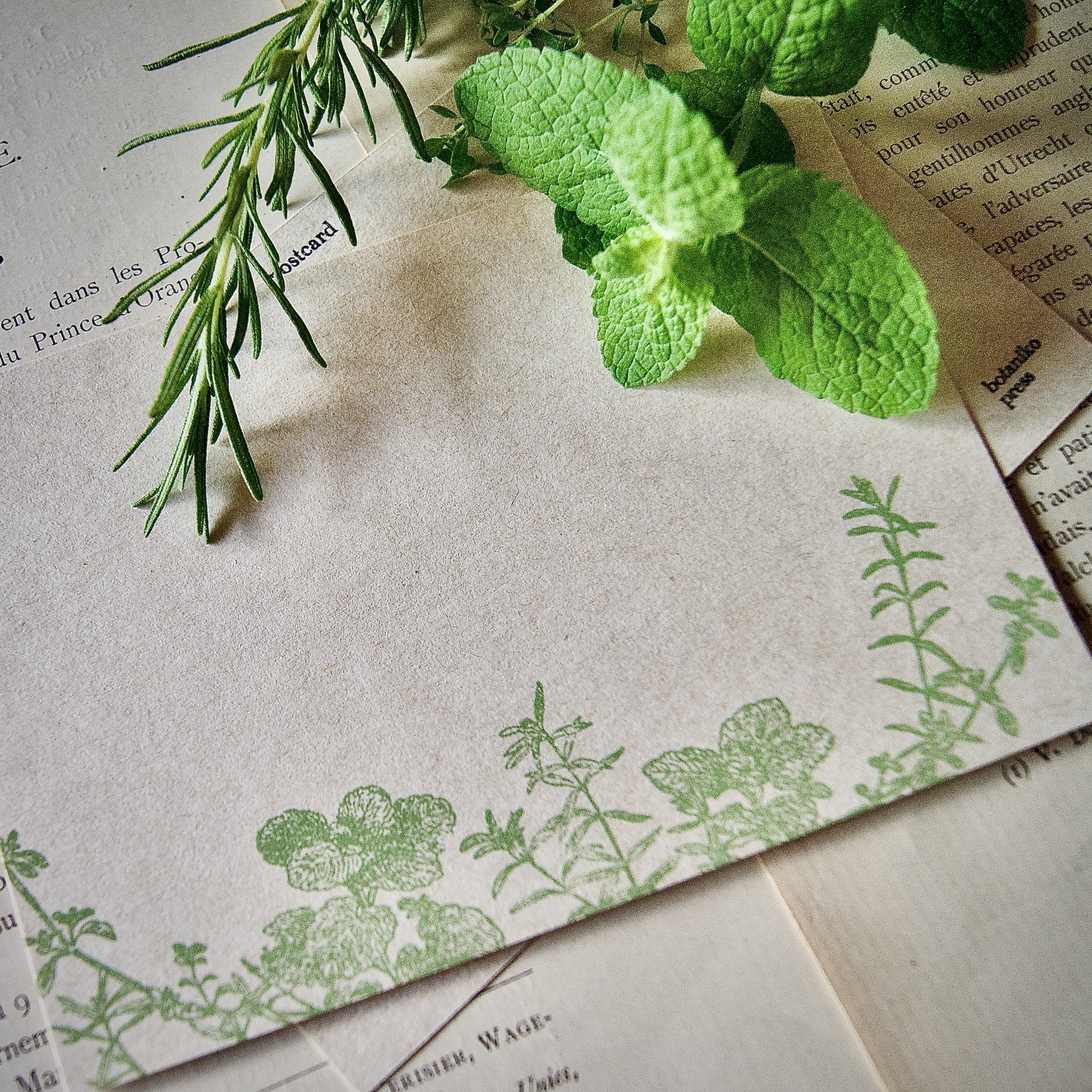 ポストカード ミント ローズマリー タイム 100 148mm 活版印刷 Botaniko Press Online Shop