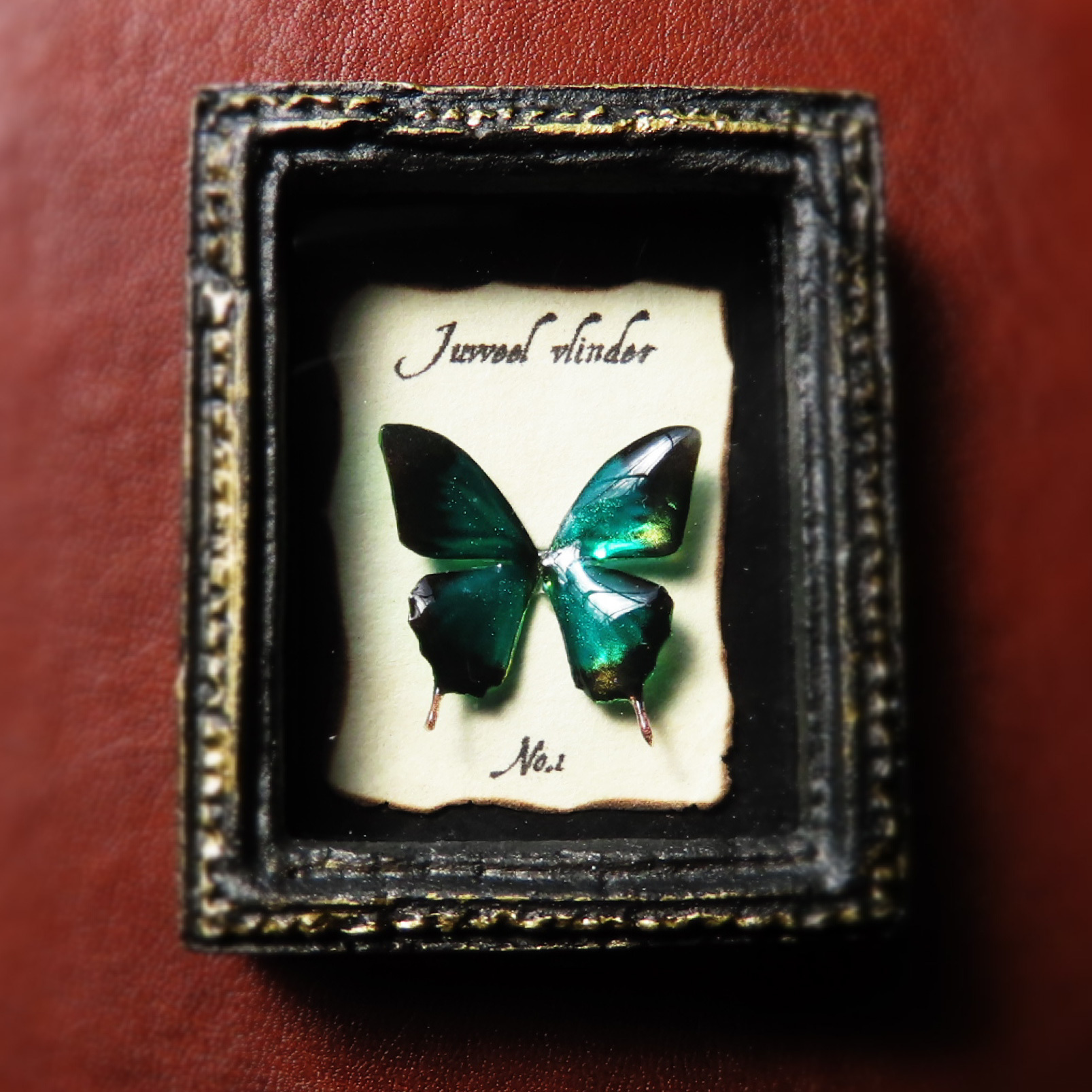 宝石蝶標本 No 1 ﾋﾞｬｸﾑ ｾｲｻｸｼｮ