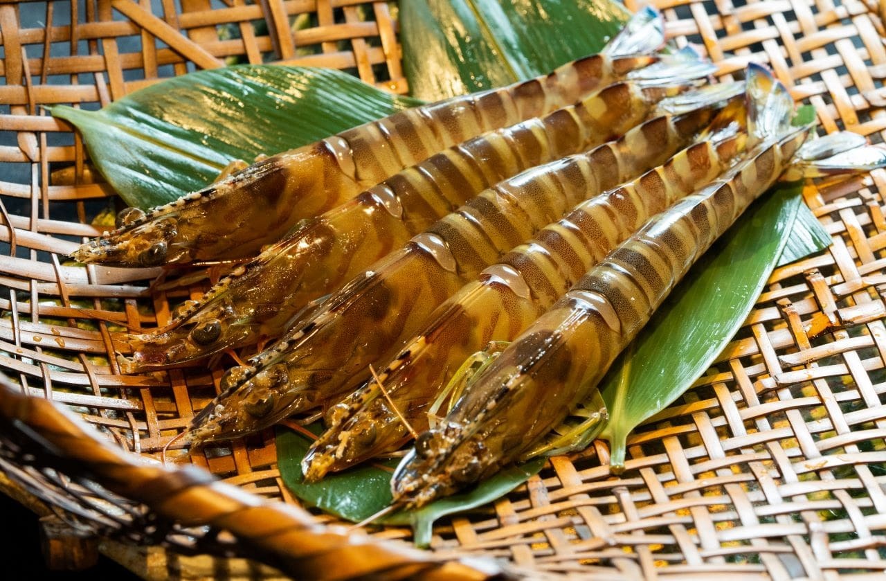 活きたまま出荷 豊洲市場直送 活車海老 10匹 計500g 3 4人前 動画レシピ付 シェフル キッチン