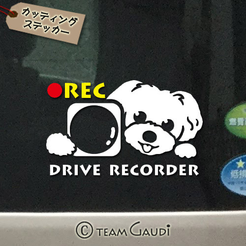 ドラレコ ステッカー マルプー シープ ポメプー ミックス犬 デザインc ドライブレコーダー録画中 煽り運転防止 シール 工房 Team Gaudi
