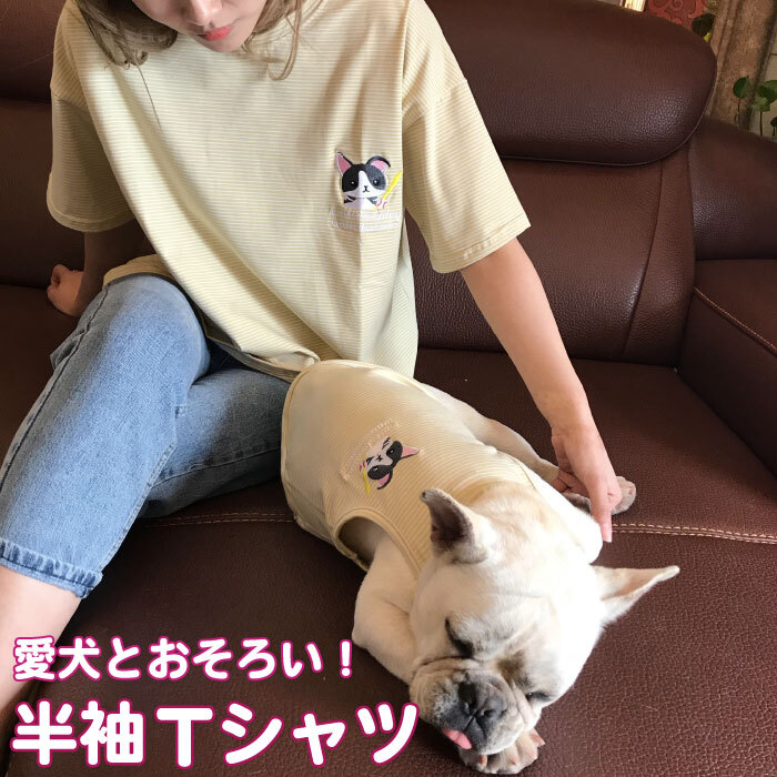 Km2ts F愛犬とのお揃い服 半袖tシャツ ペアルック オーナー 飼い主様用 犬と飼い主様 ペアルックできる フレンチブルドック 服 ボーダー ストライプ柄 オーナーズ グッズ Dearkm フレンチブルドック孔明