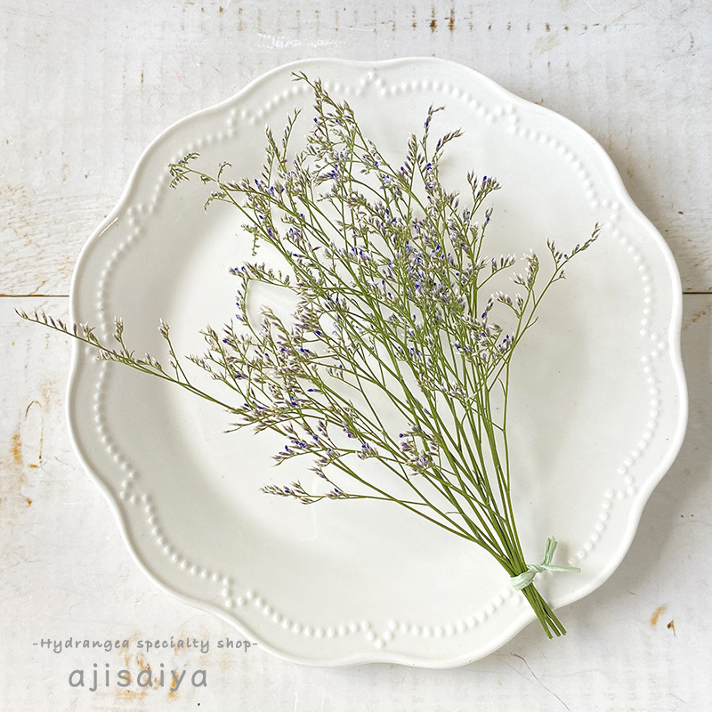 花言葉は 永遠 ブルーファンタジア ドライフラワー 自然素材こわけ専門店 あじさいや