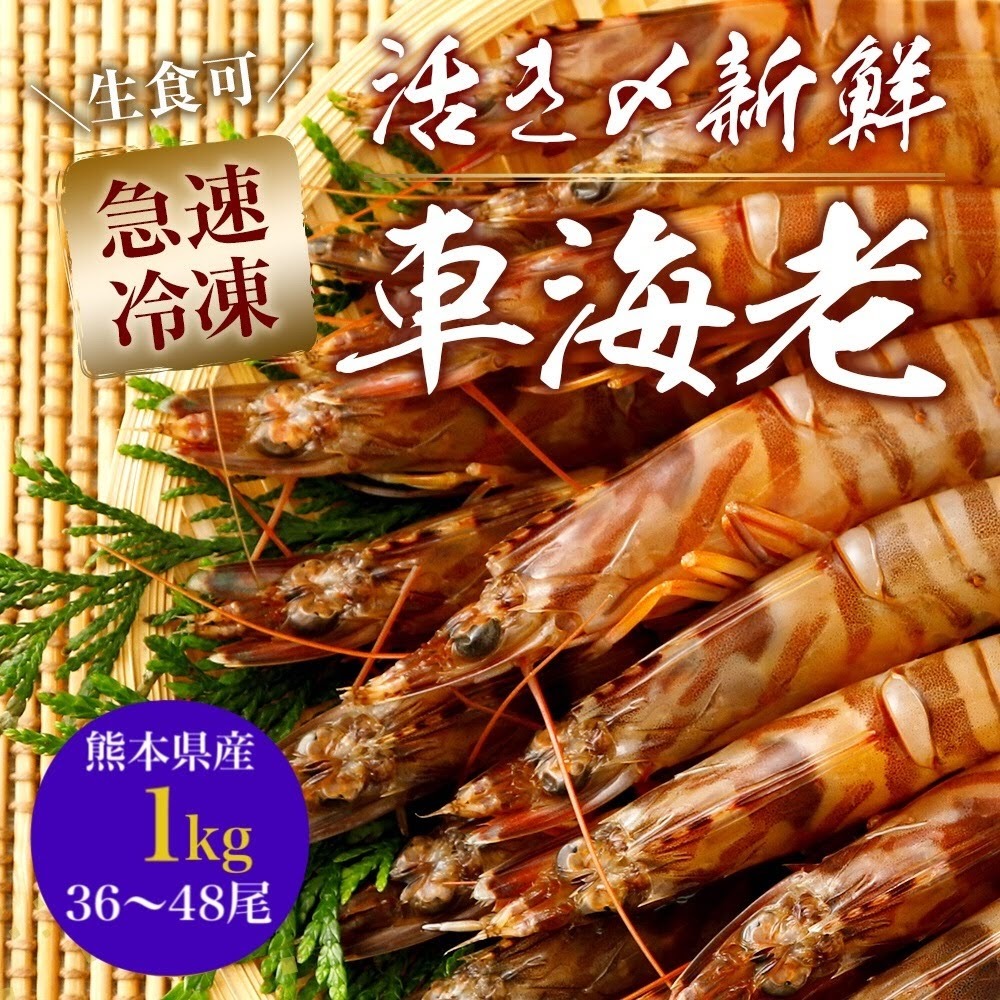 一級品厳選 活き〆瞬間冷凍車えび 1kg 36 48尾 熊本県産 水揚げ即瞬間冷凍で鮮度 品質抜群 生食可 250g 4パック急速冷凍車エビ クルマエビ 車えび 刺し身可 車海老の通販 くるまえびや海老吉 Web直営店 吉本水産