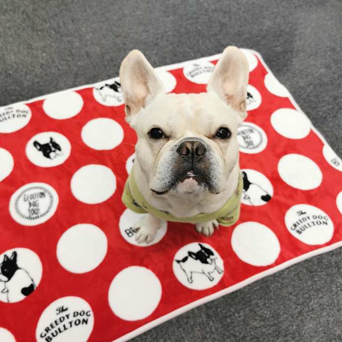 Km527gフレンチブルドッグ ぬくぬく ラグ タオルケット ひざ掛け フレブル Frenchbulldog 犬柄 Dearkm フレンチブルドック孔明